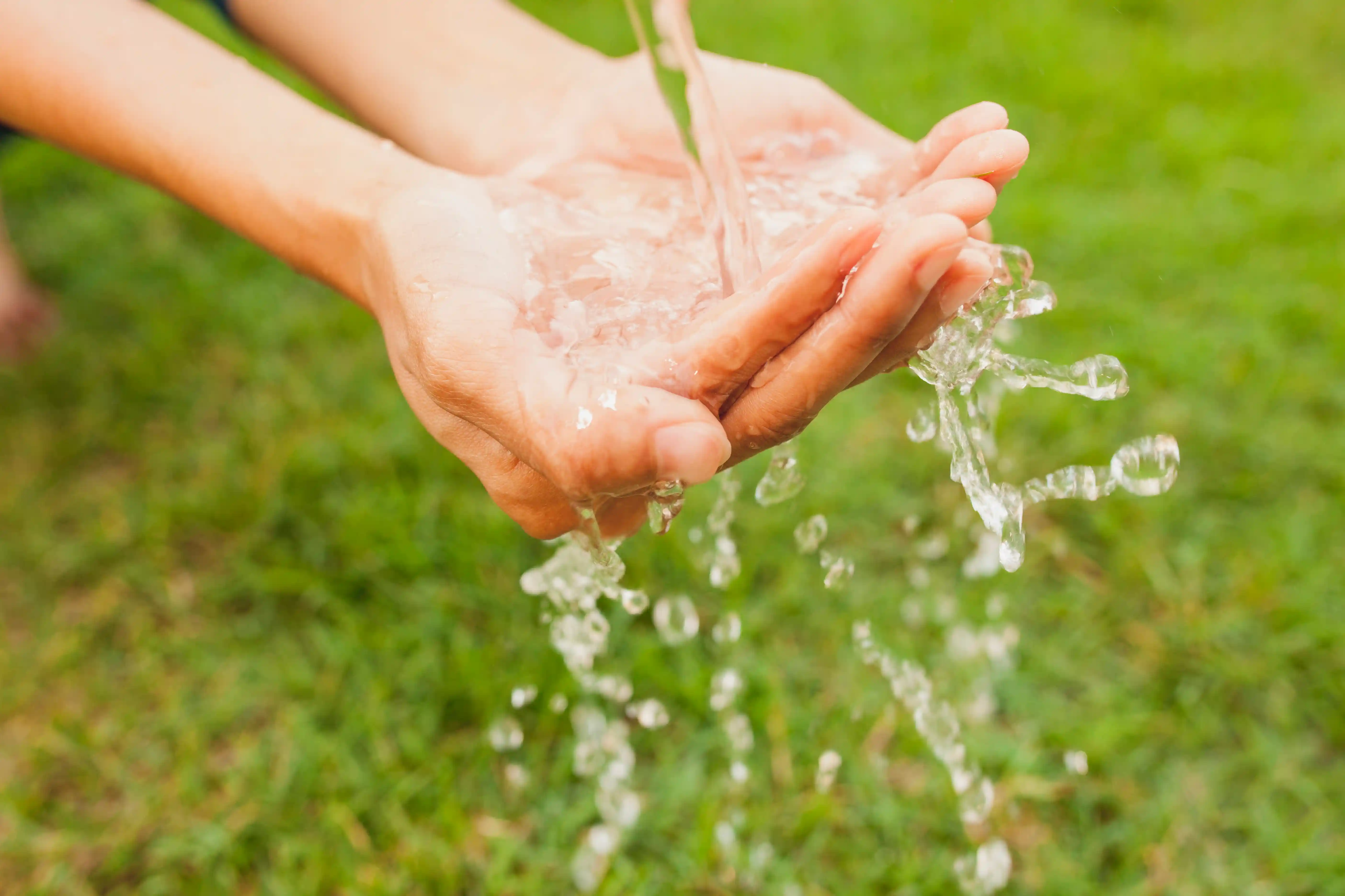 water.webp